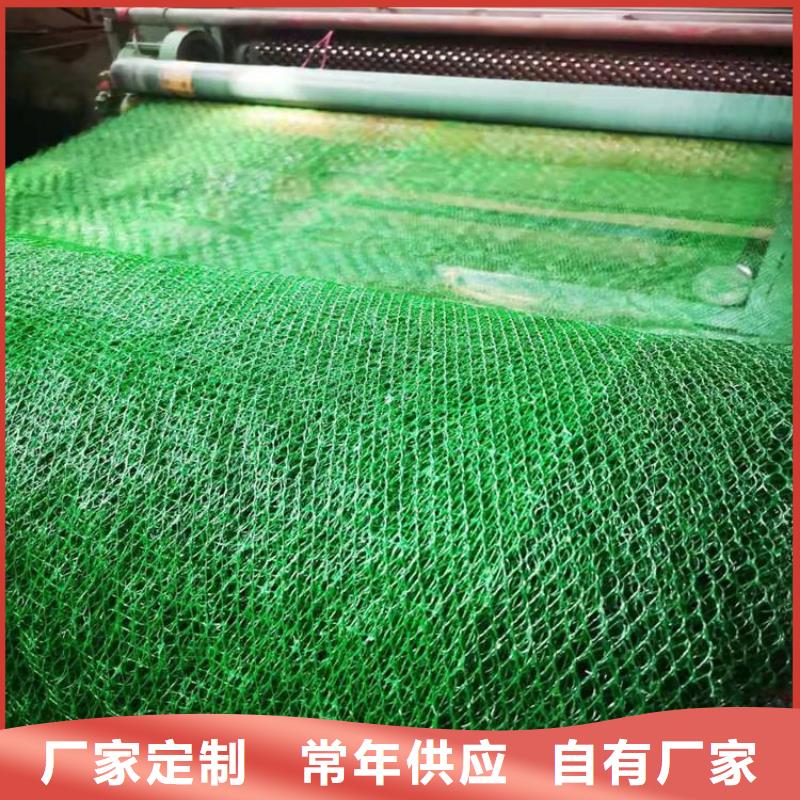三维植被网涤纶格栅厂家货源稳定