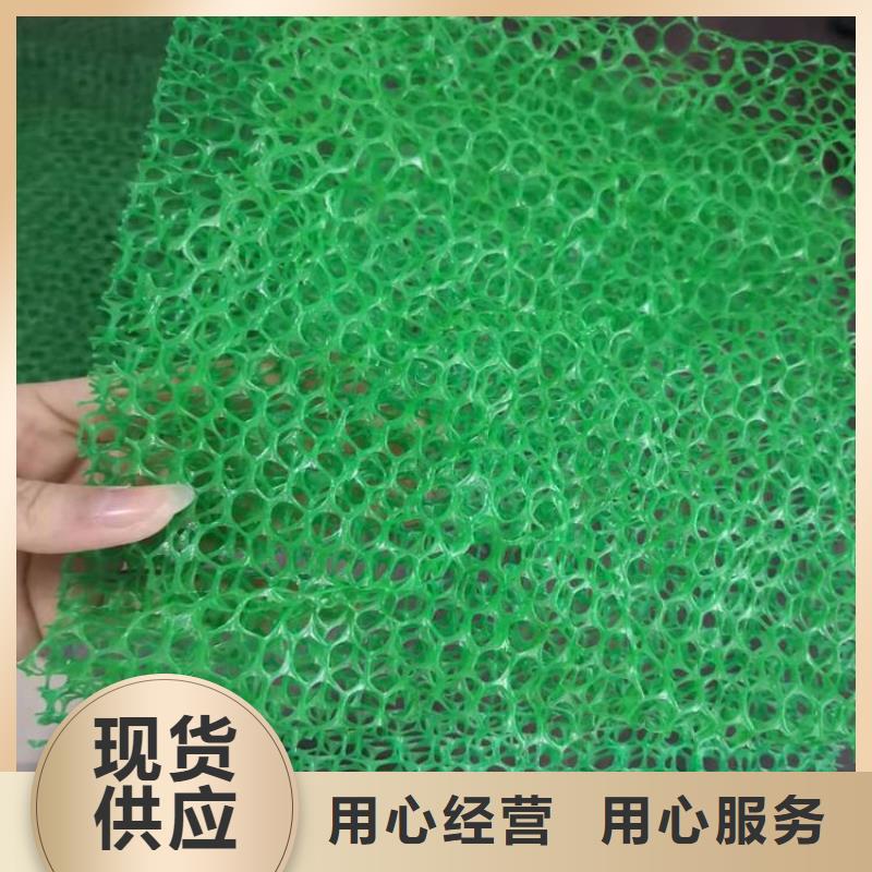 三维植被网涤纶格栅厂家货源稳定