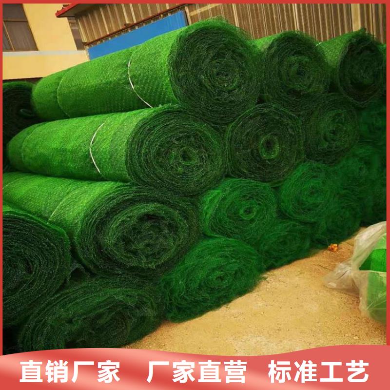 三维植被网-拉筋带工厂直营