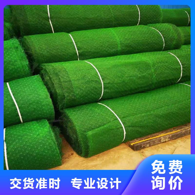 三维植被网涤纶格栅厂家货源稳定