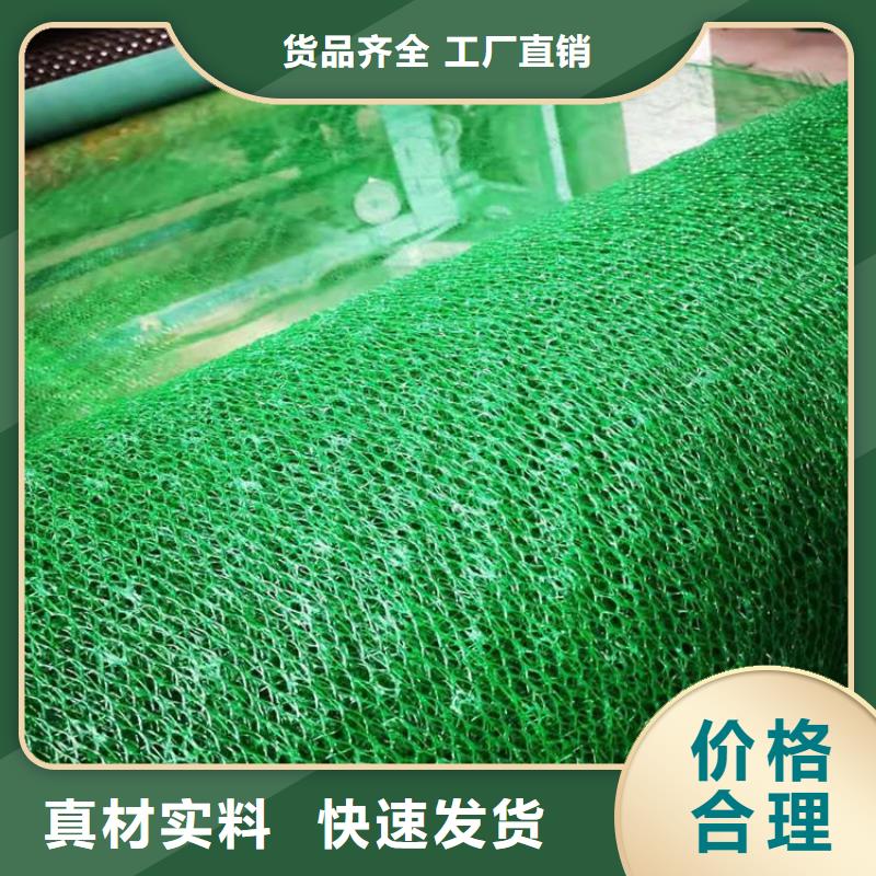 视频:本地【专业按需定制 三维植被网-玻纤格栅放心购】_一手货源源头厂家