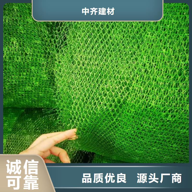 三维植被网涤纶格栅厂家货源稳定