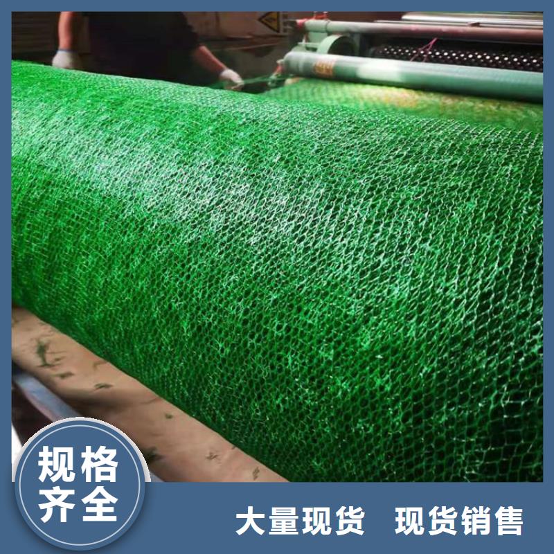 三维植被网涤纶格栅厂家货源稳定