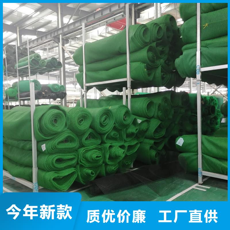 三维植被网-拉筋带工厂直营