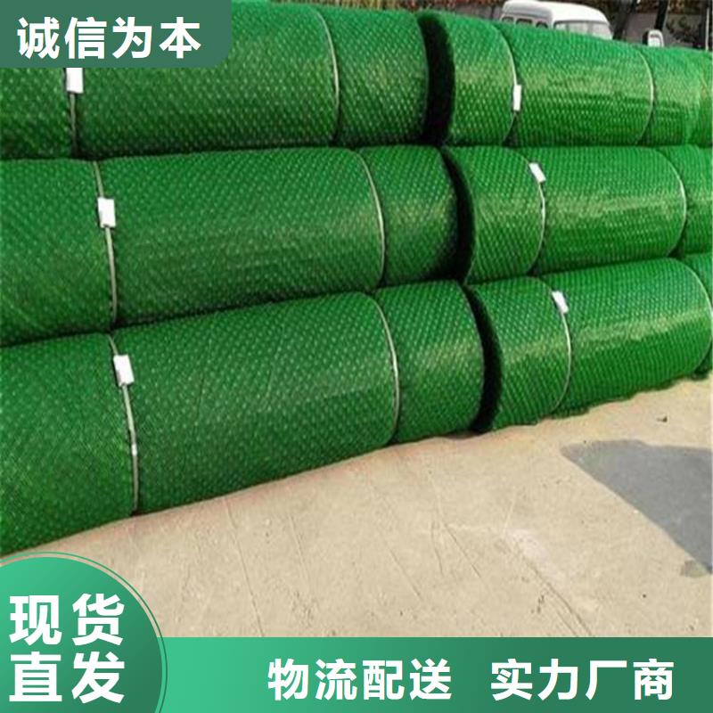 三维植被网-拉筋带工厂直营