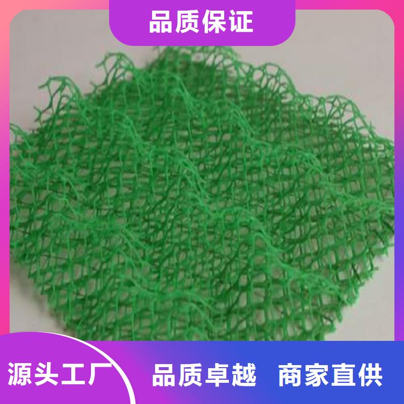 三维植被网涤纶格栅厂家货源稳定