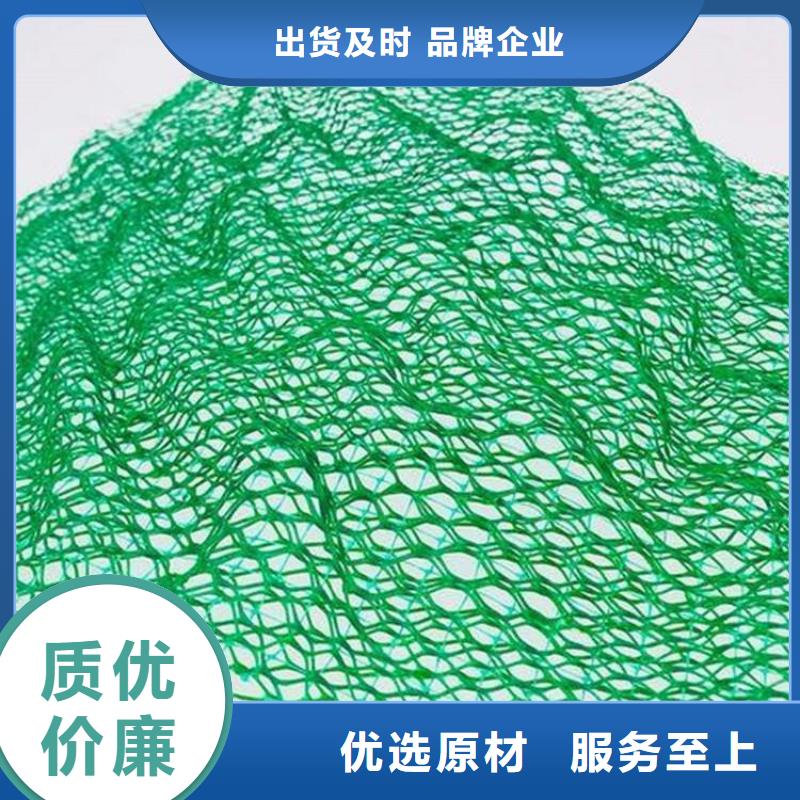 视频:本地【专业按需定制 三维植被网-玻纤格栅放心购】_一手货源源头厂家