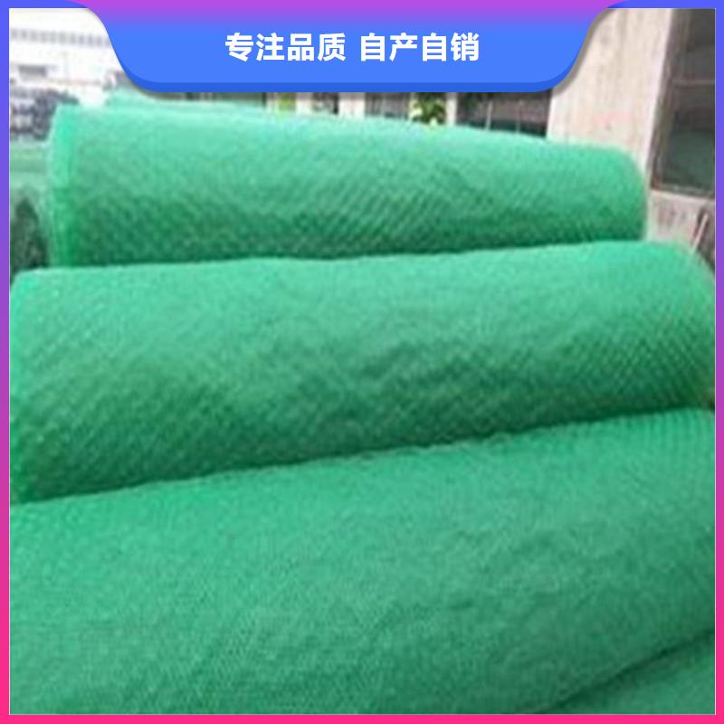 三维植被网涤纶格栅厂家货源稳定