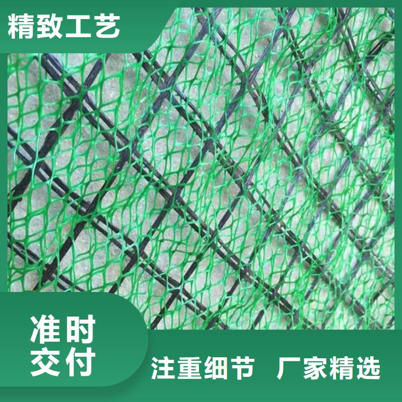 三维植被网涤纶格栅厂家货源稳定