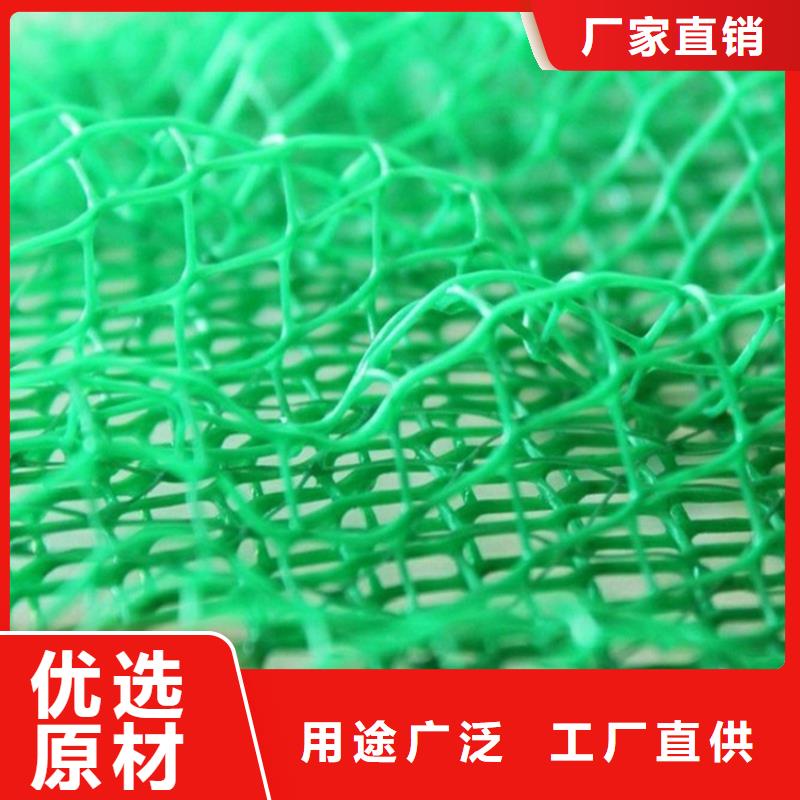 【 三维植被网-玻纤格栅放心购】中齐防渗膜