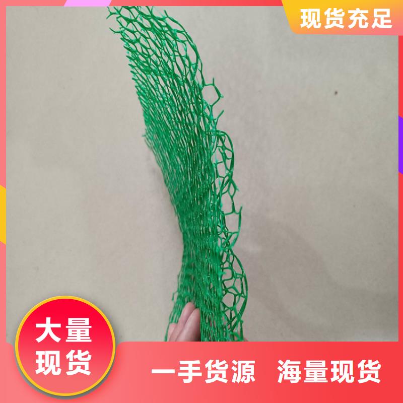 三维植被网-拉筋带工厂直营