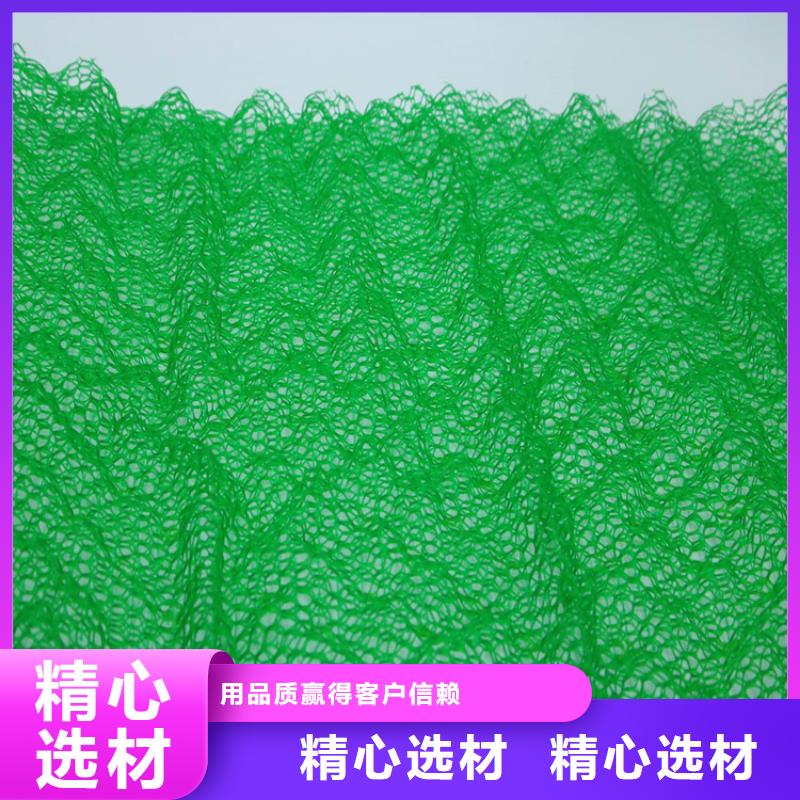 三维植被网-拉筋带工厂直营