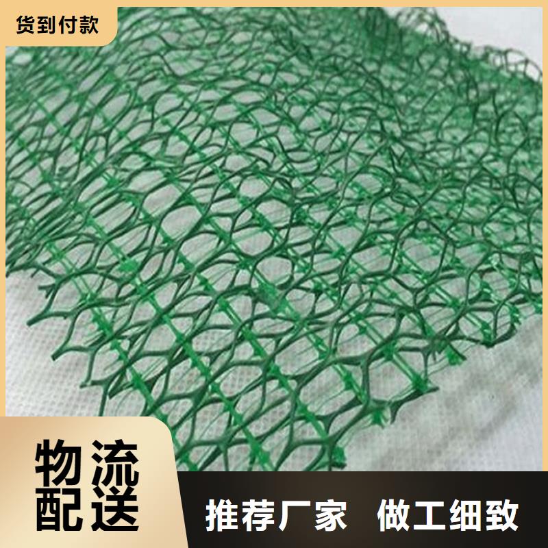 三维植被网-拉筋带工厂直营
