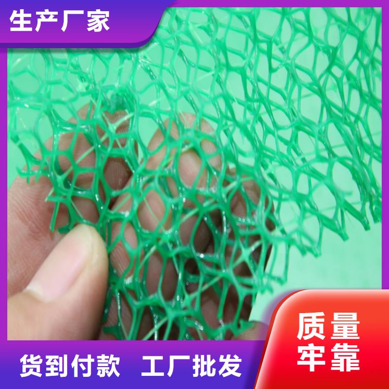 三维植被网-拉筋带工厂直营