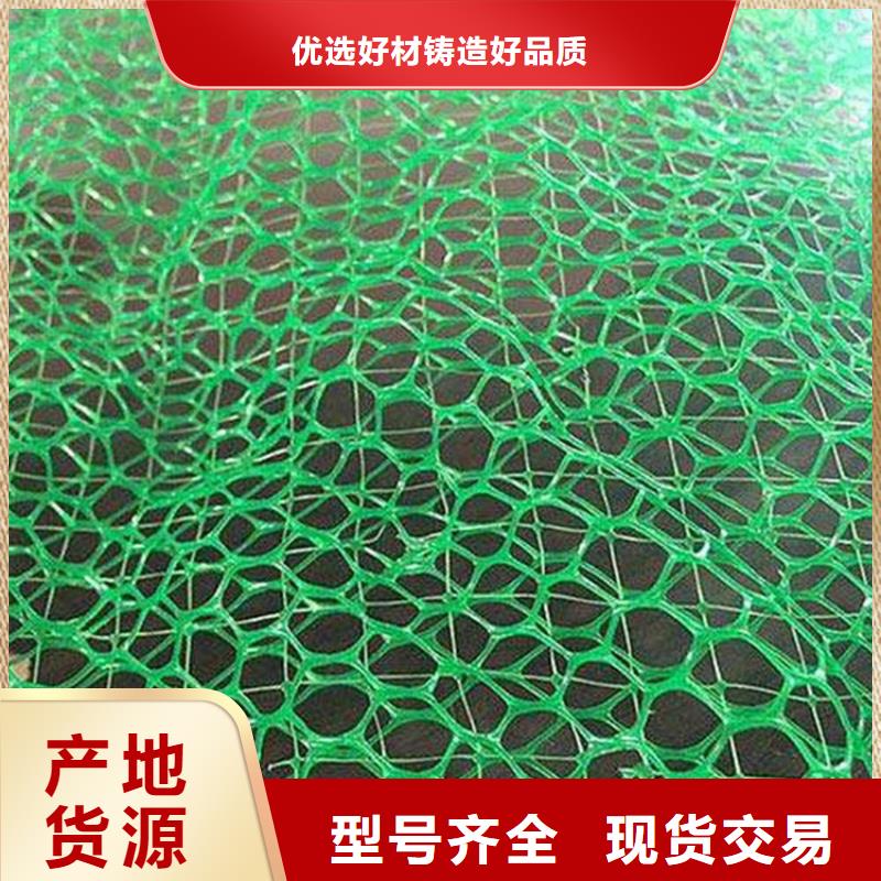【 三维植被网-玻纤格栅放心购】中齐防渗膜