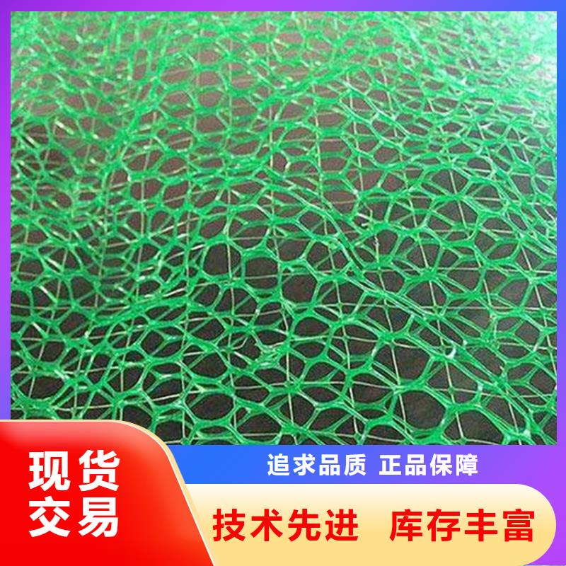 三维植被网-拉筋带工厂直营