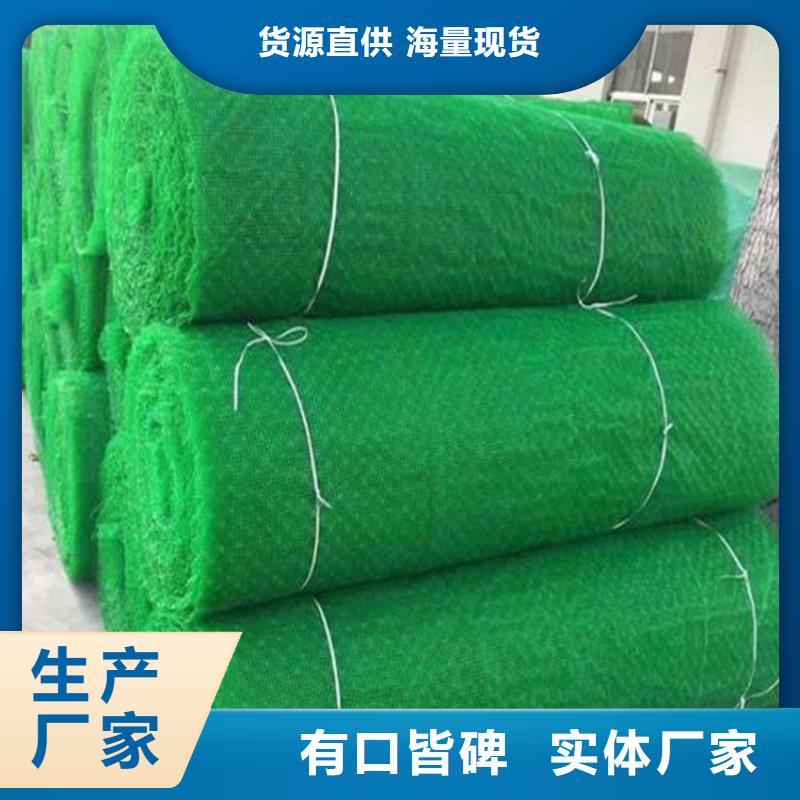 三维植被网-拉筋带工厂直营
