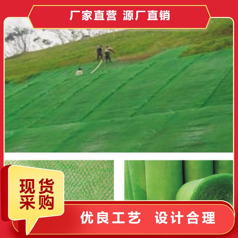 三维植被网_防渗膜现货充足