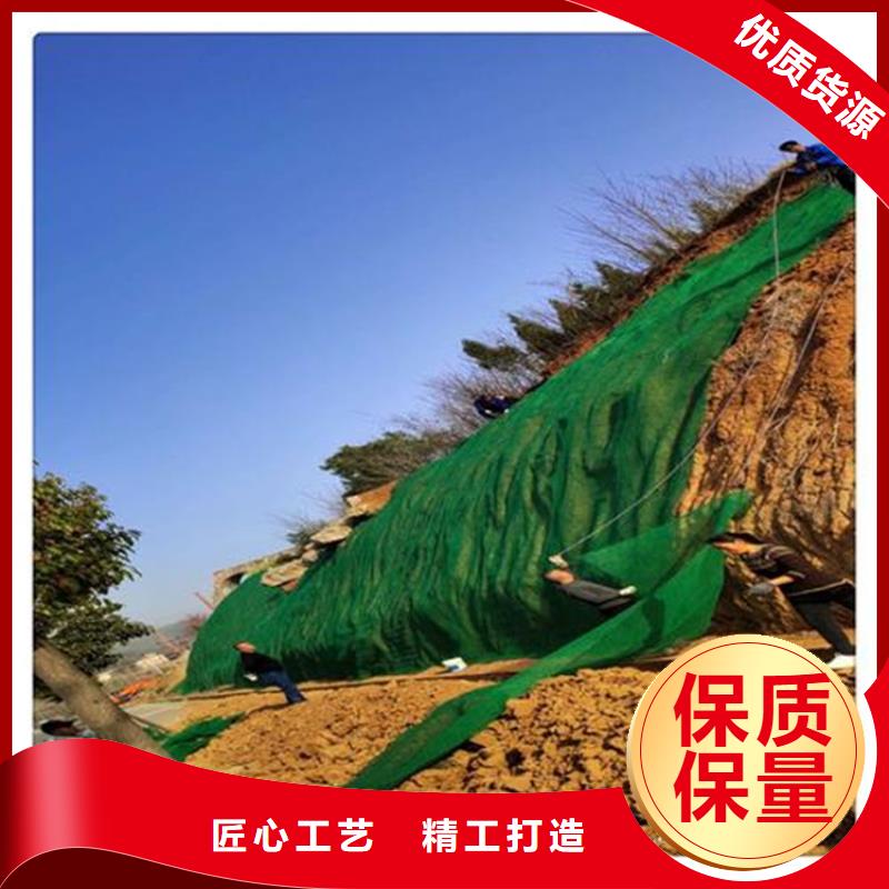 三维植被网_防渗膜现货充足