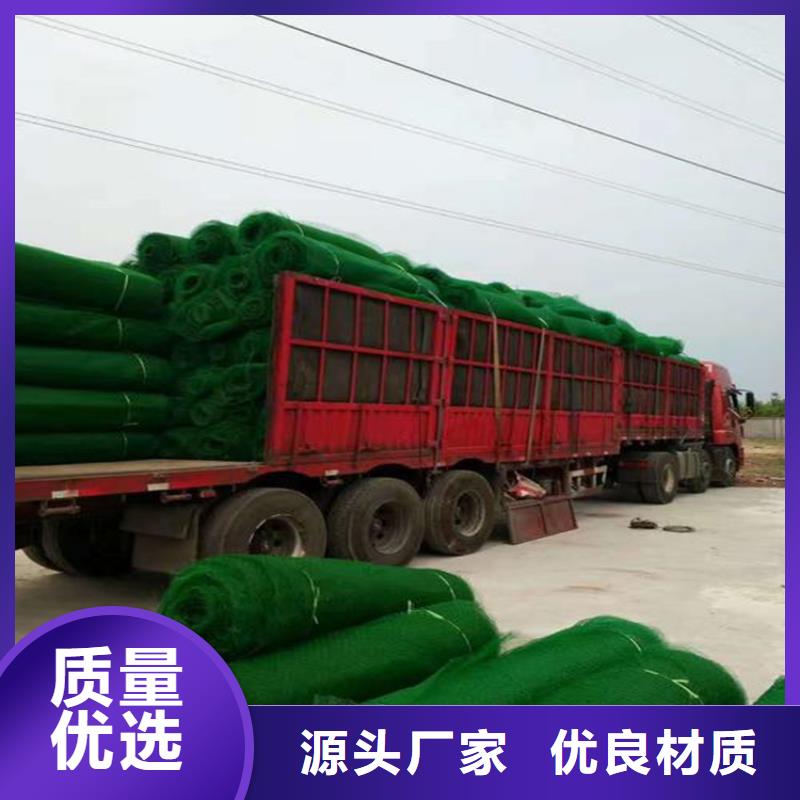 三维植被网_防渗膜现货充足