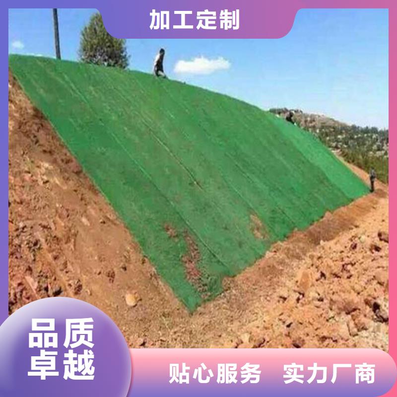 三维植被网_防渗膜现货充足