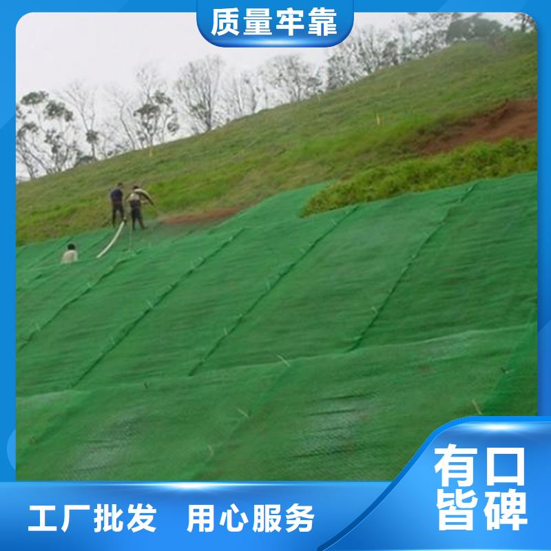 三维植被网_防渗膜现货充足