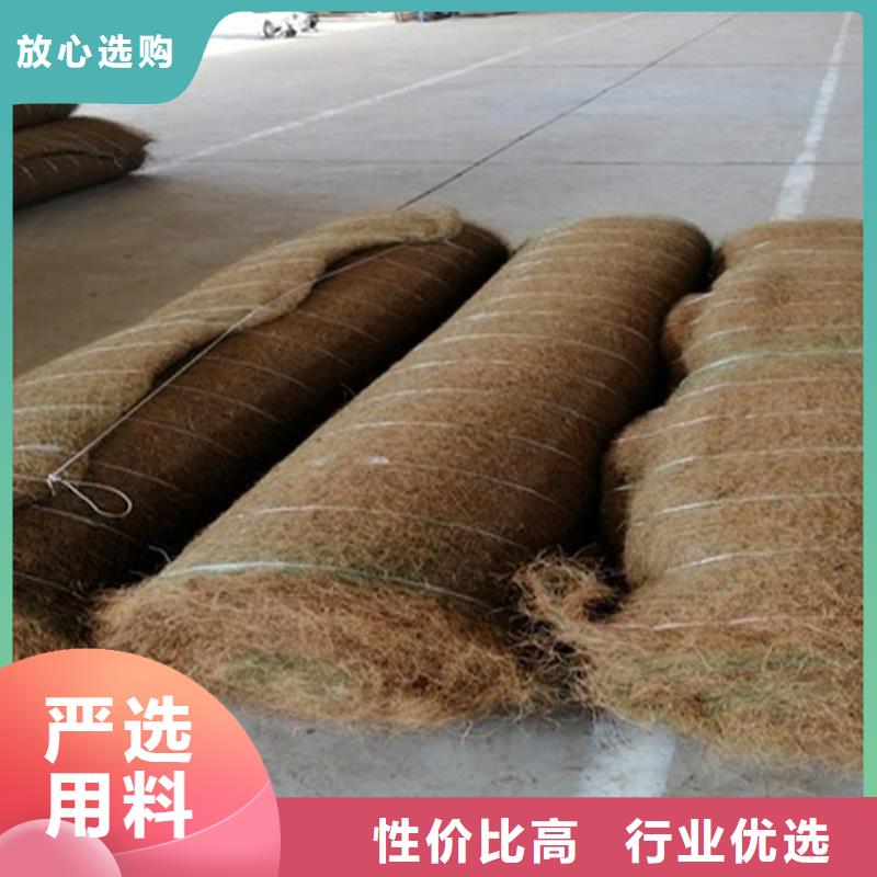 高陵|灞桥|铜川|榆林|延安|汉中|咸阳中齐【 椰丝毯塑料格栅卓越品质保障】
