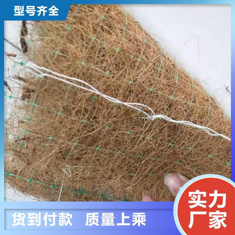 植生椰丝毯-椰丝护坡毯