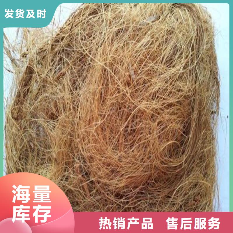 加筋抗冲生态毯