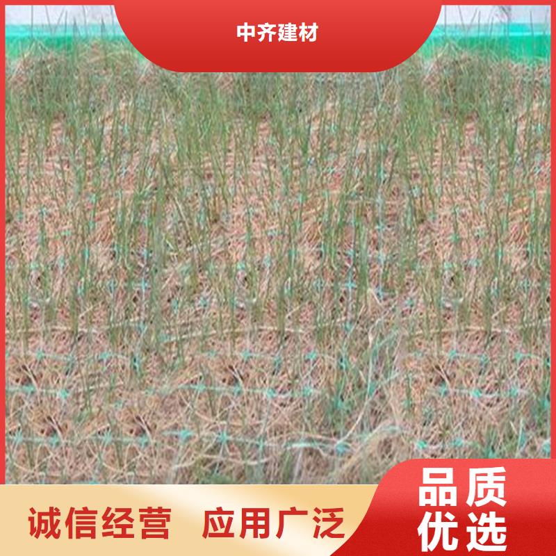 椰丝毯玻纤格栅N年大品牌