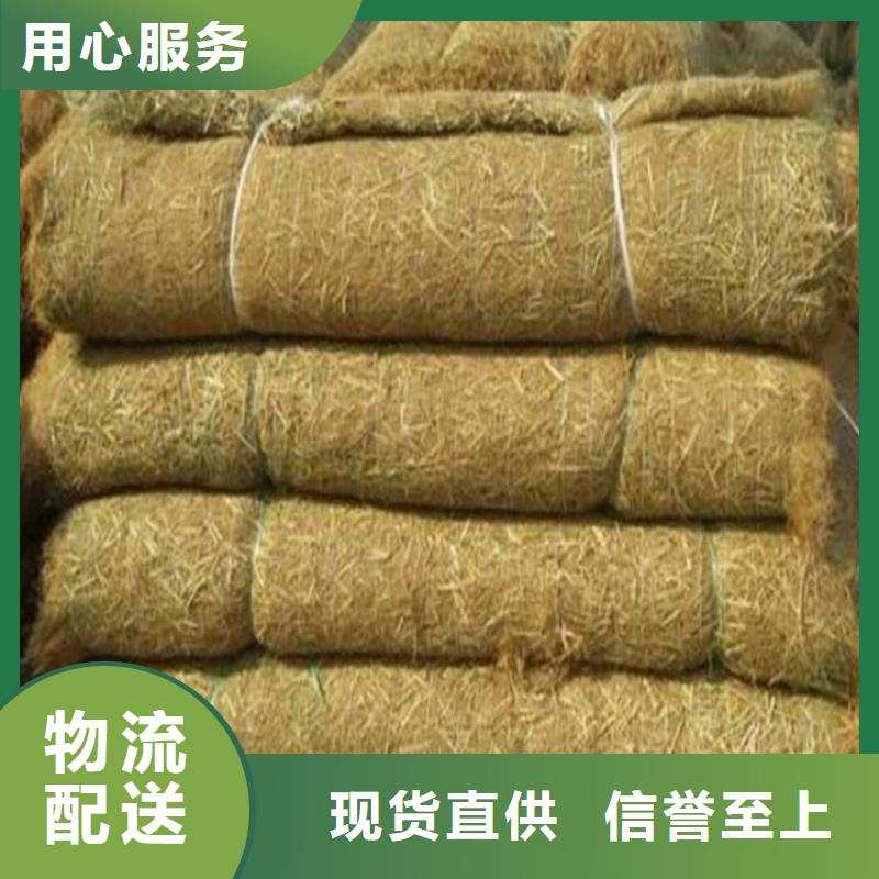 高陵|灞桥|铜川|榆林|延安|汉中|咸阳中齐【 椰丝毯塑料格栅卓越品质保障】