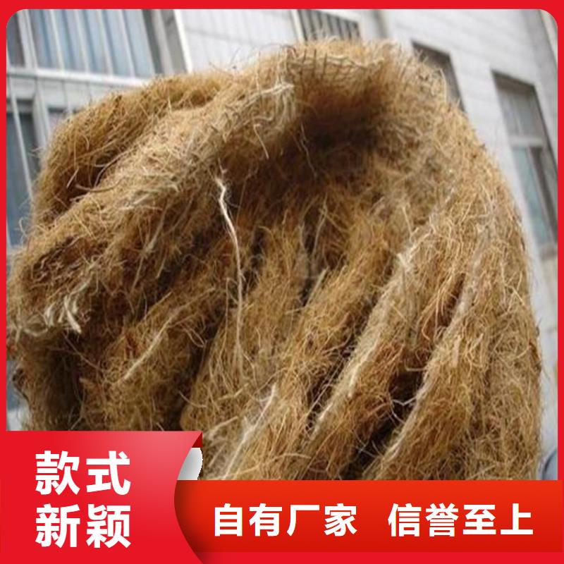 防渗膜视频-防渗膜-中齐建材(三明市分公司)服务区域明溪|建宁|莆田|宁德|龙岩|南平
