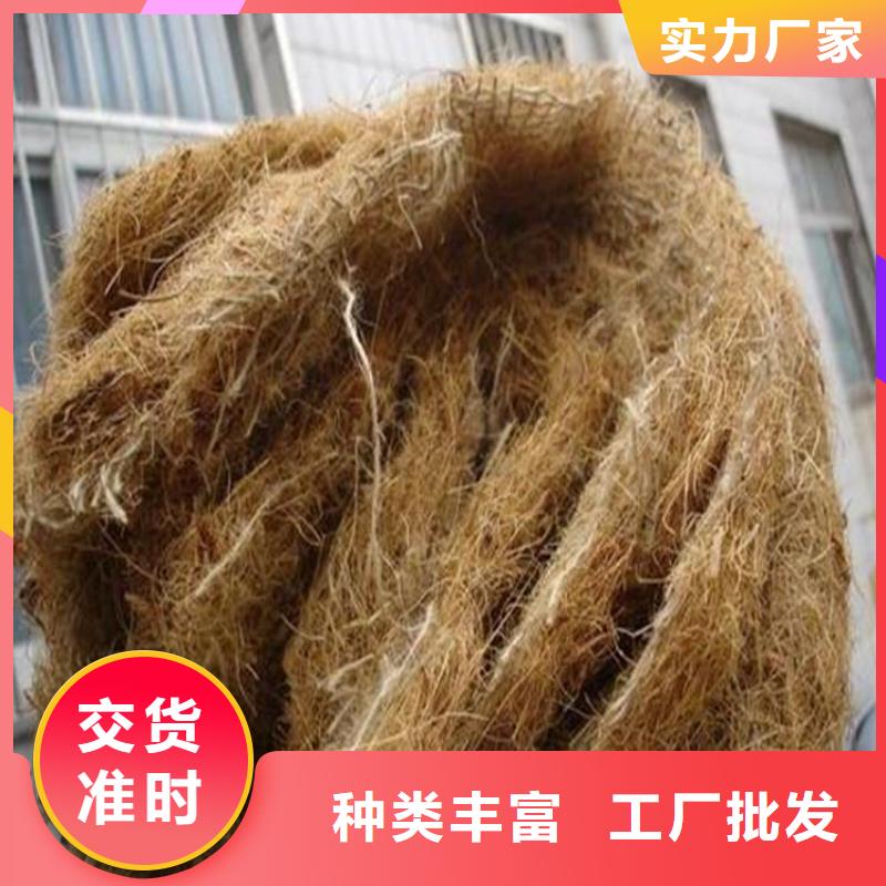 高陵|灞桥|铜川|榆林|延安|汉中|咸阳中齐【 椰丝毯塑料格栅卓越品质保障】