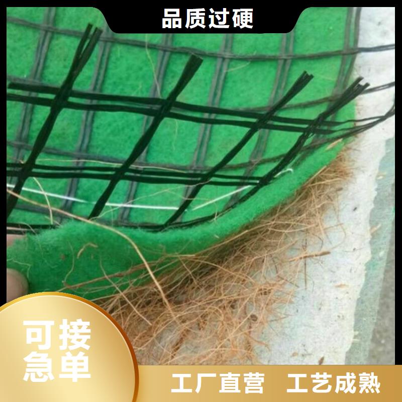 高陵|灞桥|铜川|榆林|延安|汉中|咸阳中齐【 椰丝毯塑料格栅卓越品质保障】