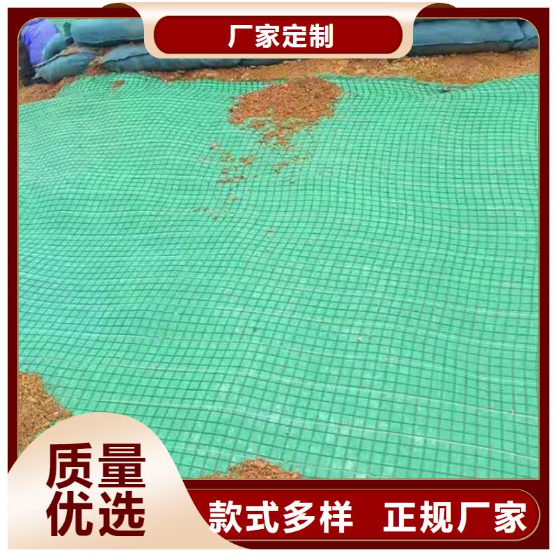 椰丝毯玻纤格栅N年大品牌
