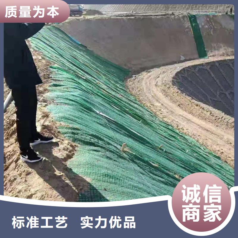 加筋抗冲生态毯