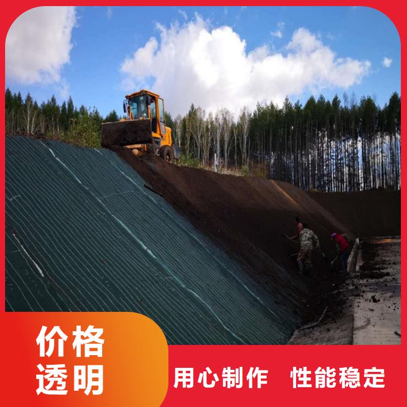 椰丝毯膨润土防水毯专业生产制造厂