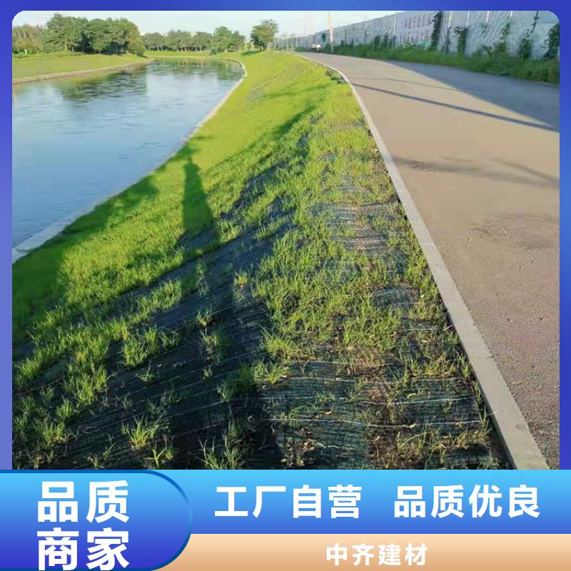 椰丝毯膨润土防水毯专业生产制造厂