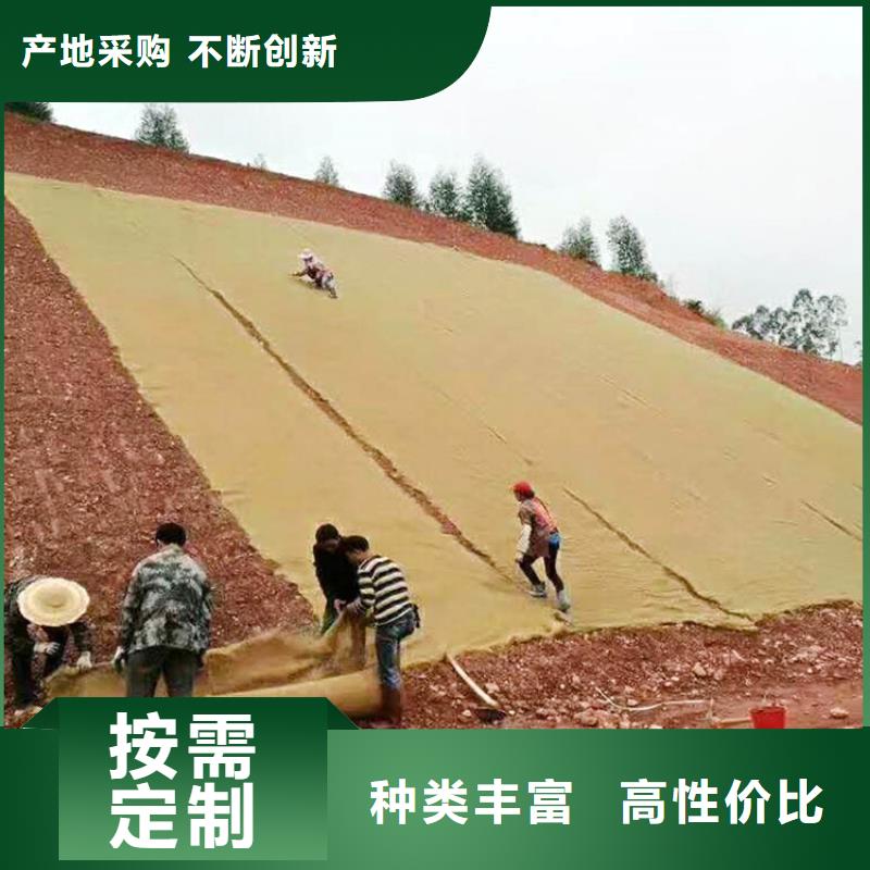 加筋抗冲生态毯