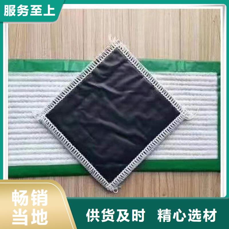 膨润土防水毯-塑料土工格栅产地厂家直销