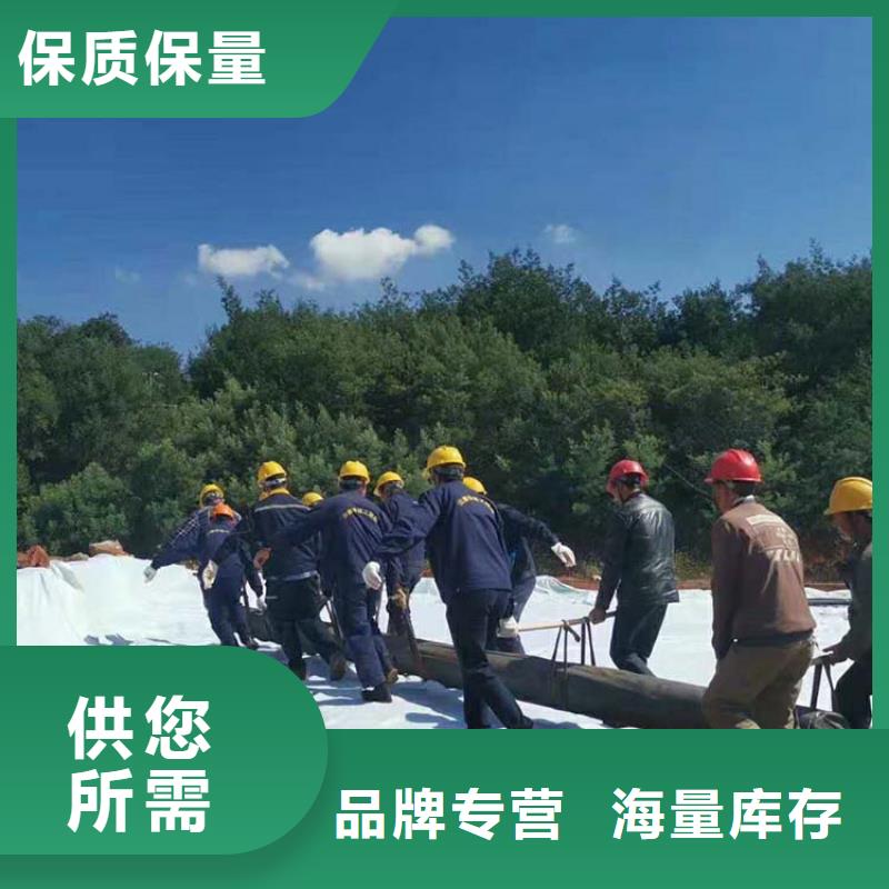 防渗膜视频-泰来|建华|黑河|佳木斯|大兴安岭|鹤岗|哈尔滨|大庆|绥化中齐防渗膜_ 中齐建材(齐齐哈尔市分公司)