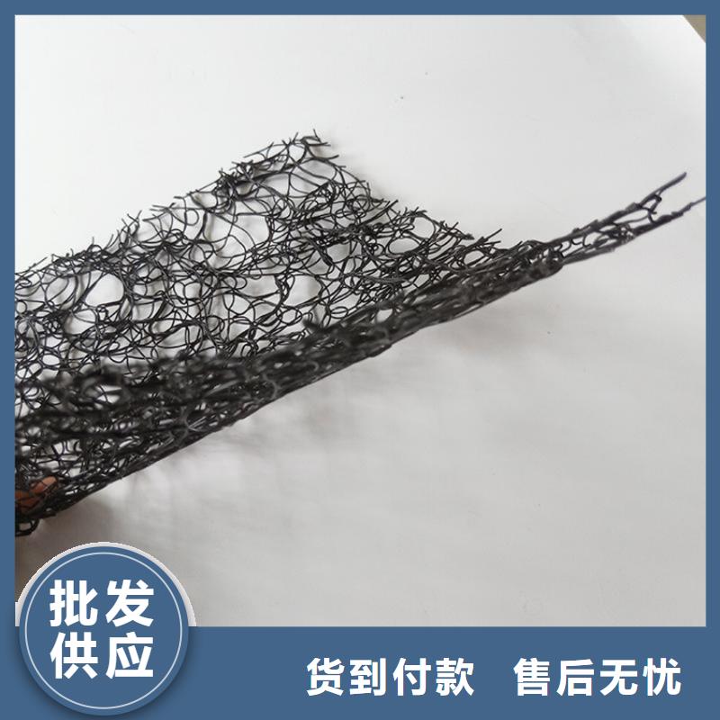 通风降噪丝网土工膜精选厂家好货