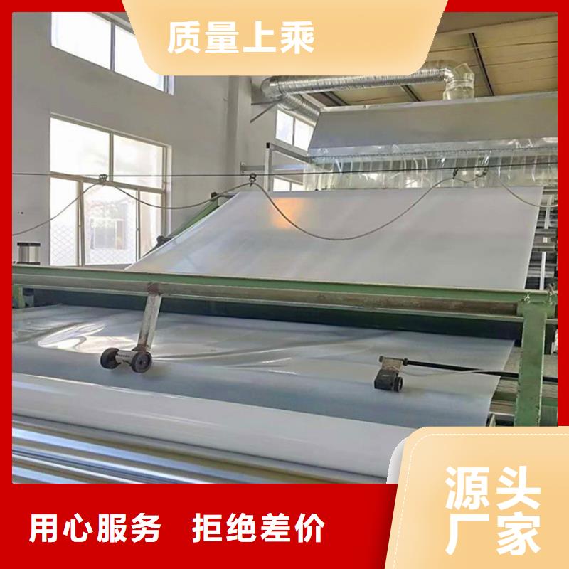 防水板排水板严格把关质量放心