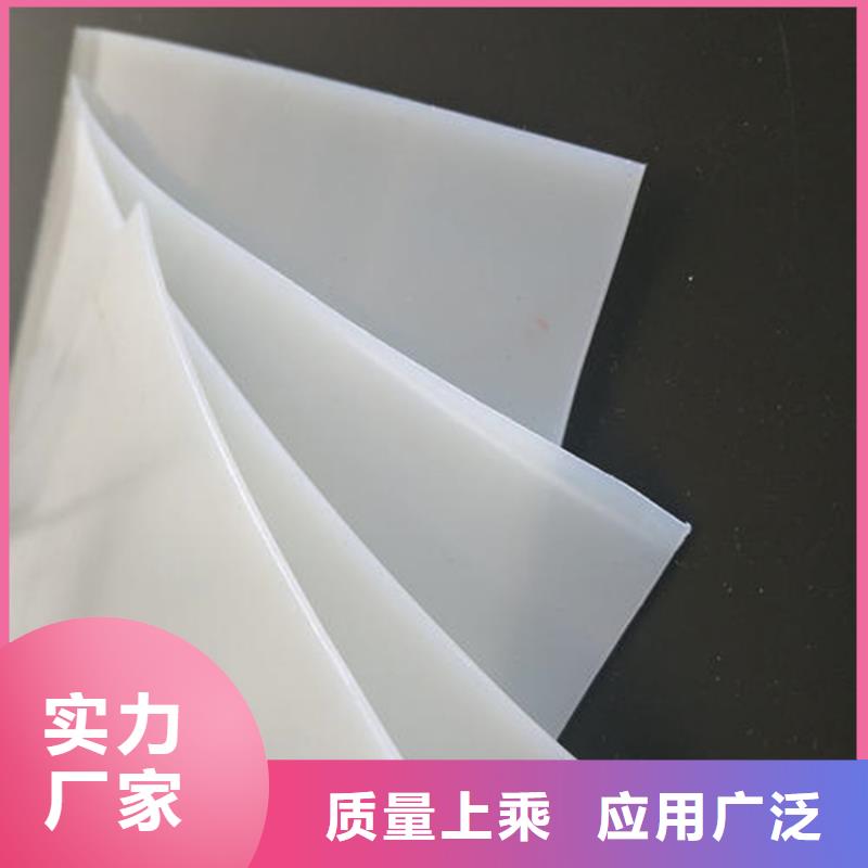 防水板排水板严格把关质量放心