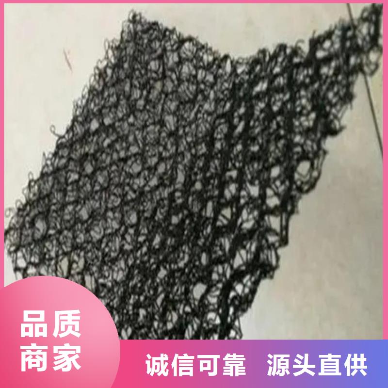 水土保护毯,土工格室厂家现货供应