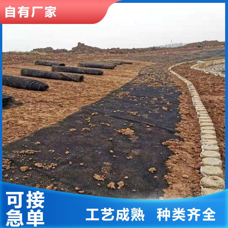 水土保护毯,HDPE土工膜按需定制真材实料