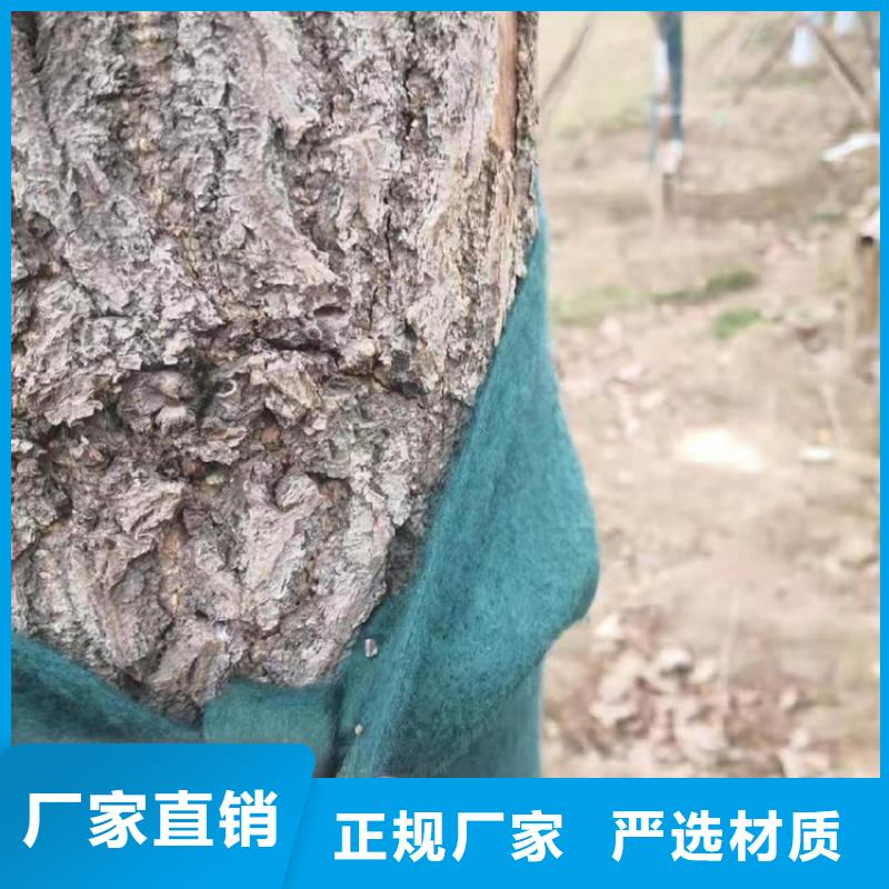 裹树布_玻纤格栅真诚合作
