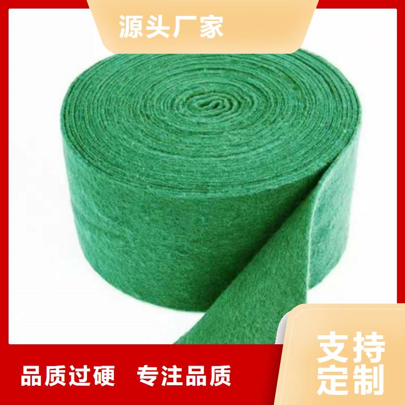 裹树布双向塑料土工格栅适用范围广