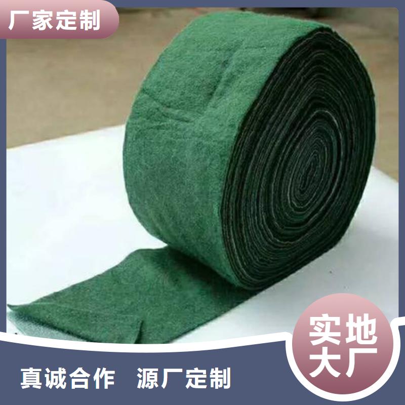 裹树布-土工格栅诚信厂家