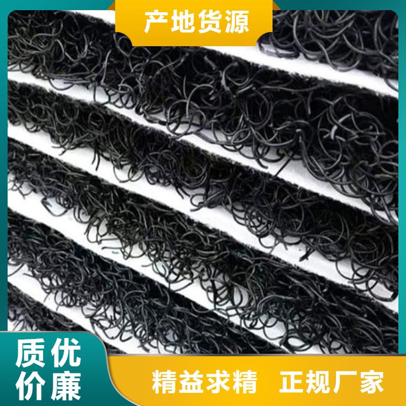 土工席垫土工格栅好品质经得住考验